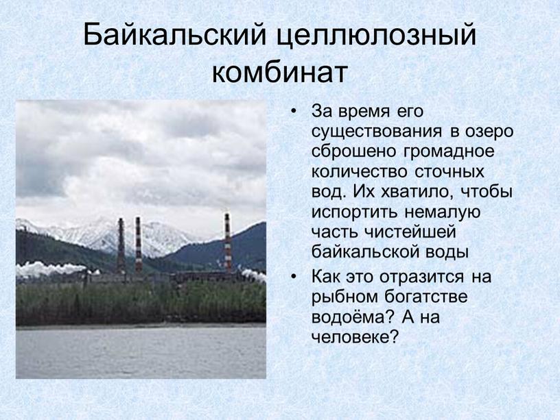 Байкальский целлюлозный комбинат