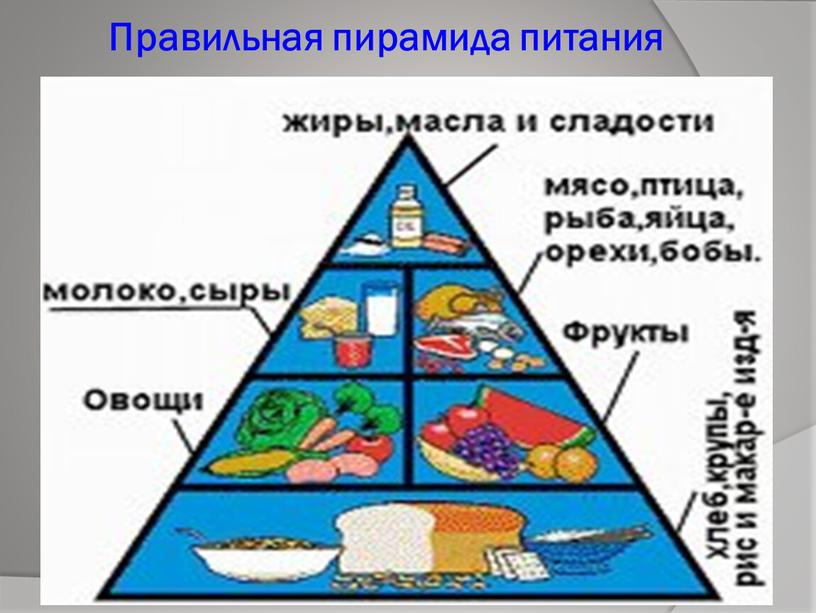 Правильная пирамида питания