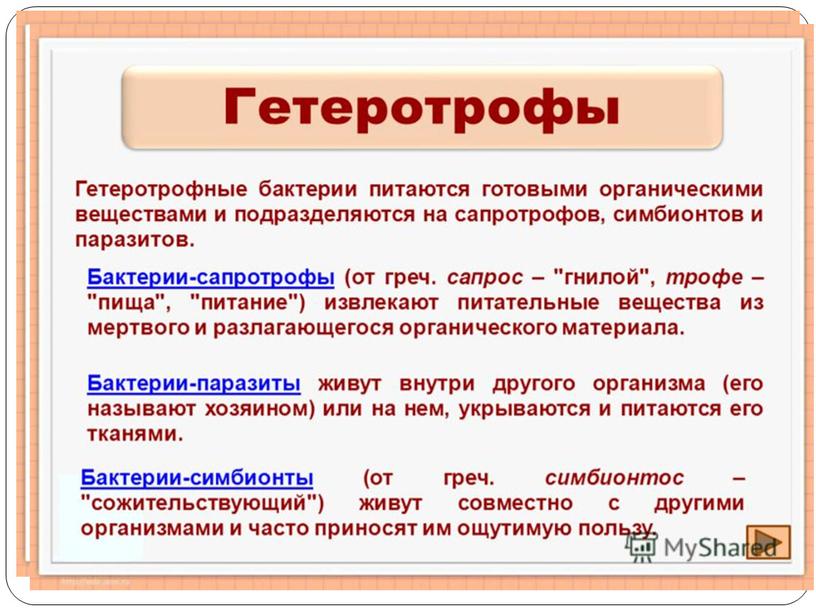 http://images.myshared.ru/4/281598/slide_13.jpg