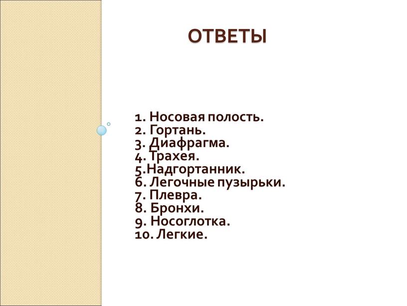 Носовая полость. 2. Гортань. 3