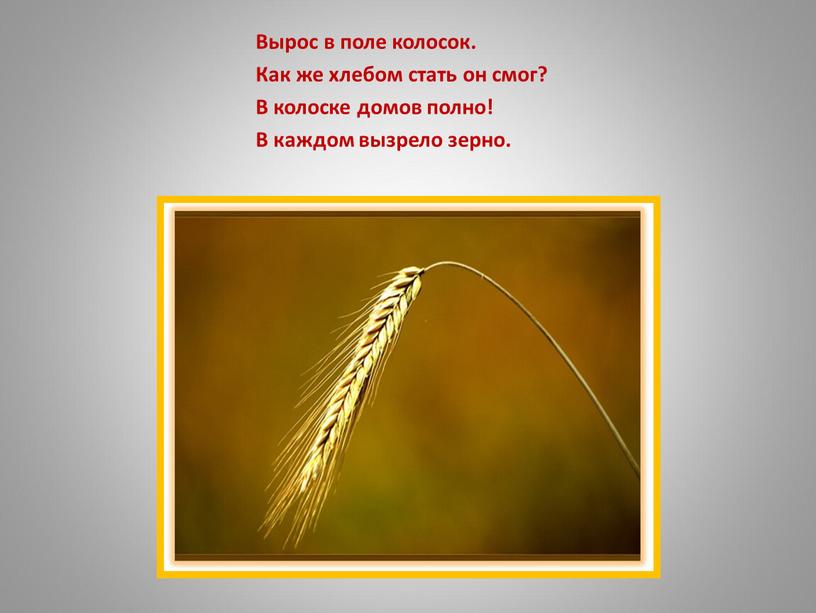 Вырос в поле колосок. Как же хлебом стать он смог?