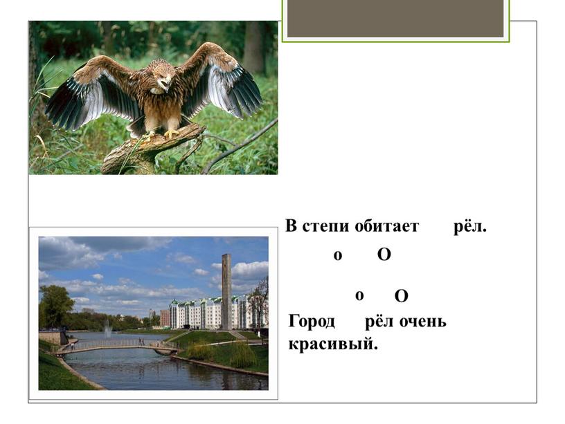 В степи обитает рёл. Город рёл очень красивый