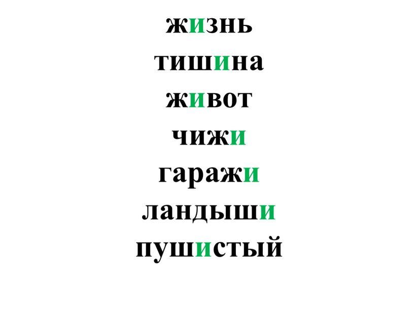 жизнь тишина живот чижи гаражи ландыши пушистый