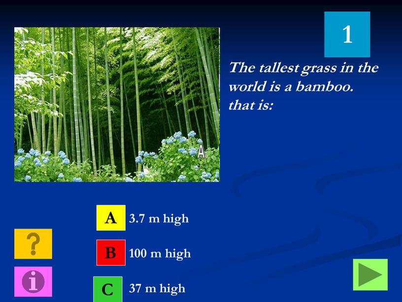 The tallest grass in the world is a bamboo