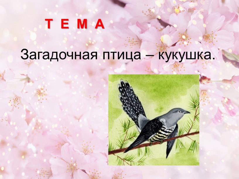 Т Е М А Загадочная птица – кукушка