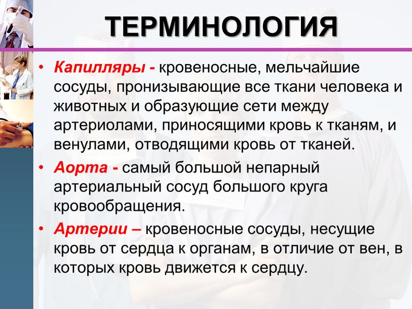 ТЕРМИНОЛОГИЯ Капилляры - кровеносные, мельчайшие сосуды, пронизывающие все ткани человека и животных и образующие сети между артериолами, приносящими кровь к тканям, и венулами, отводящими кровь…