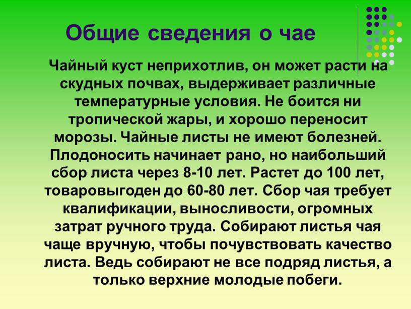 Общие сведения о чае Чайный куст неприхотлив, он может расти на скудных почвах, выдерживает различные температурные условия