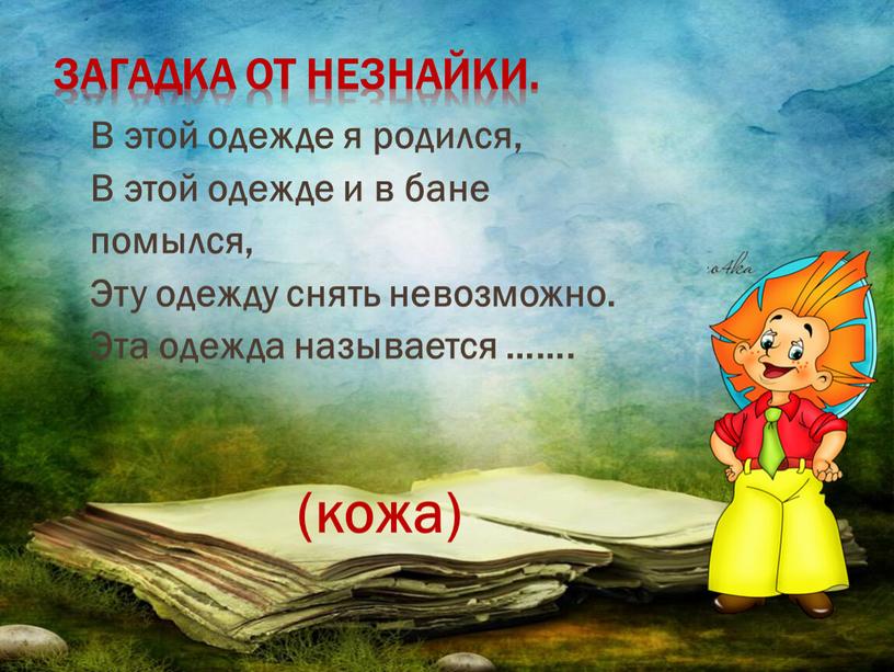 Загадка от Незнайки. В этой одежде я родился,