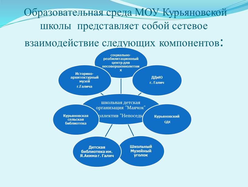 Образовательная среда МОУ Курьяновской школы представляет собой сетевое взаимодействие следующих компонентов: