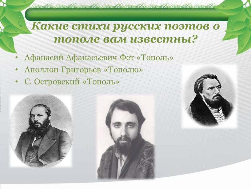 Какие стихи русских поэтов о тополе вам известны?