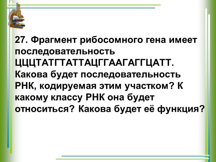 Фрагмент рибосомного гена имеет последовательность