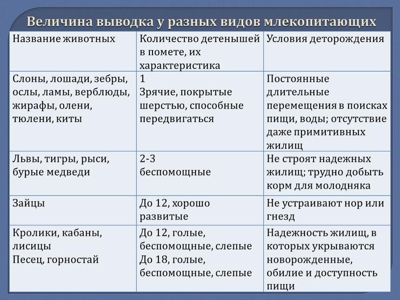 Величина выводка у разных видов млекопитающих