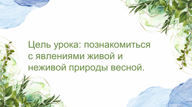 Цель урока: познакомиться с явлениями живой и неживой природы весной