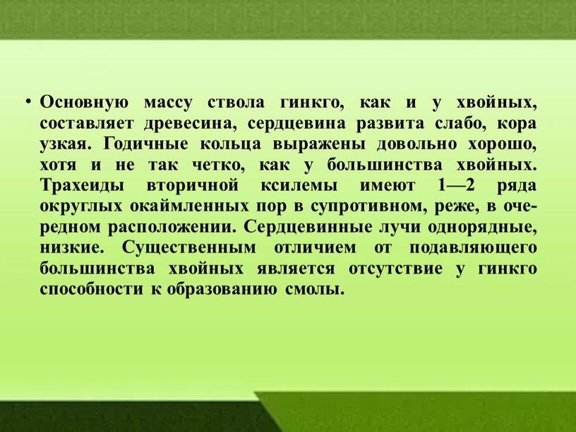 Основную массу ствола гинкго, как и у хвой­ных, составляет древесина, сердцевина разви­та слабо, кора узкая