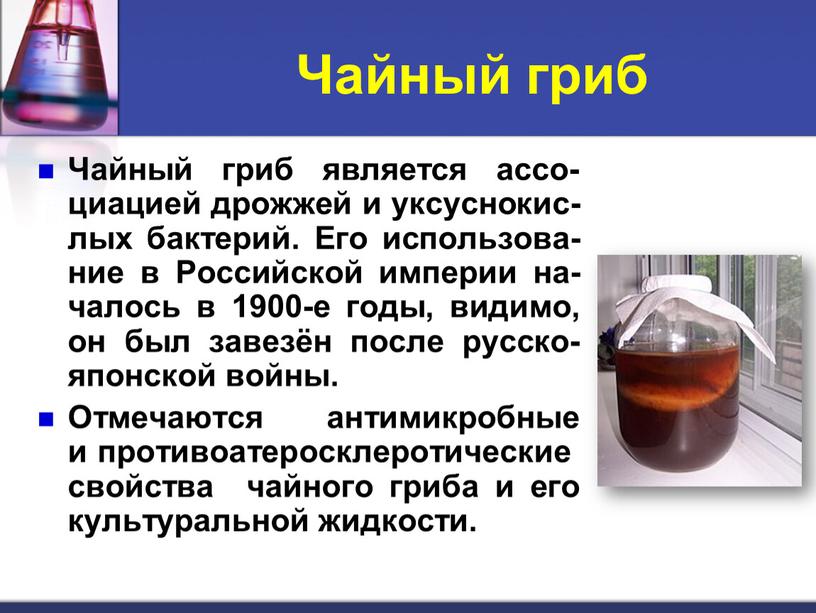 Чайный гриб Чайный гриб является ассо-циацией дрожжей и уксуснокис-лых бактерий