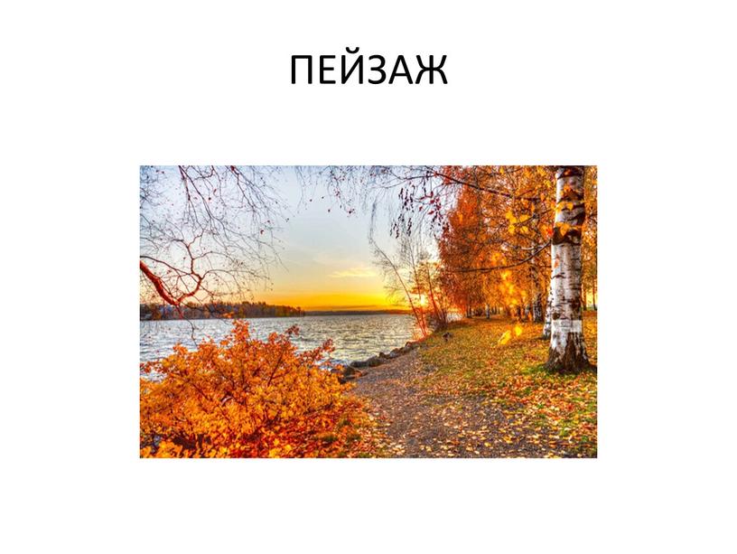 ПЕЙЗАЖ