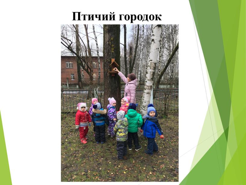 Птичий городок