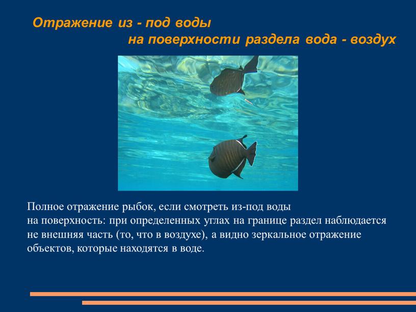 Отражение из - под воды на поверхности раздела вода - воздух