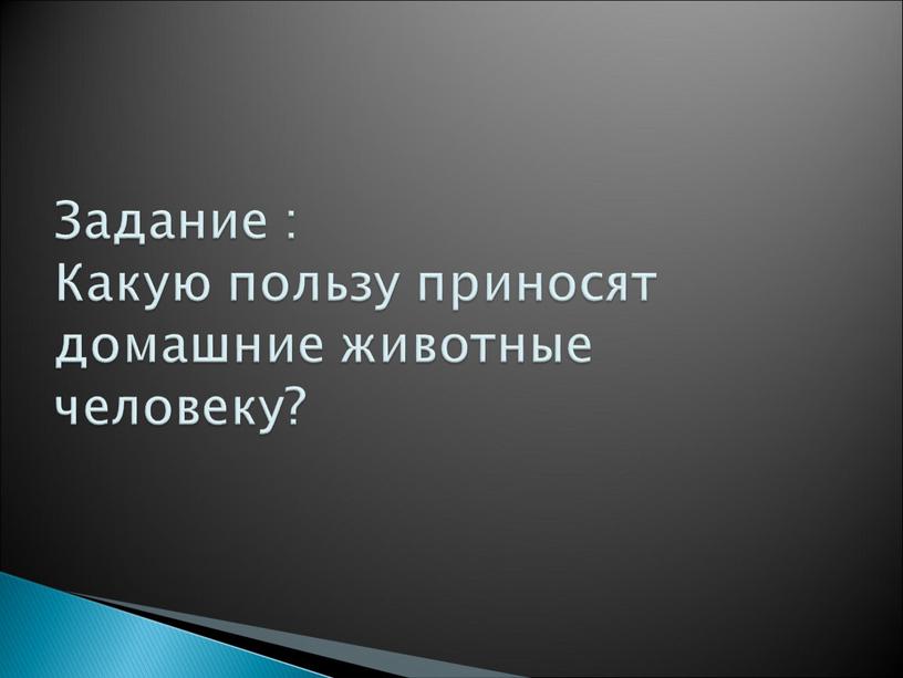 Задание : Какую пользу приносят домашние животные человеку?