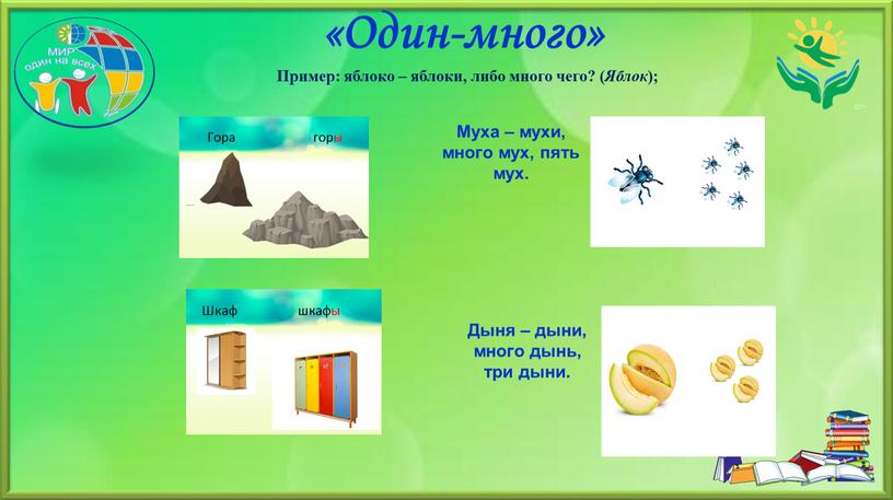 Один-много» Пример: яблоко – яблоки, либо много чего? (