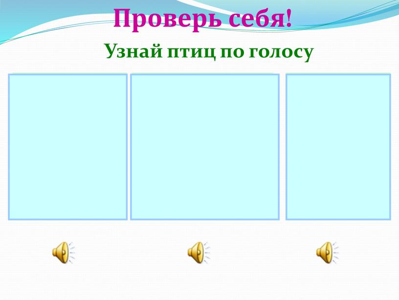 Проверь себя! Узнай птиц по голосу