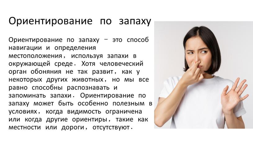 Ориентирование по запаху Ориентирование по запаху - это способ навигации и определения местоположения, используя запахи в окружающей среде