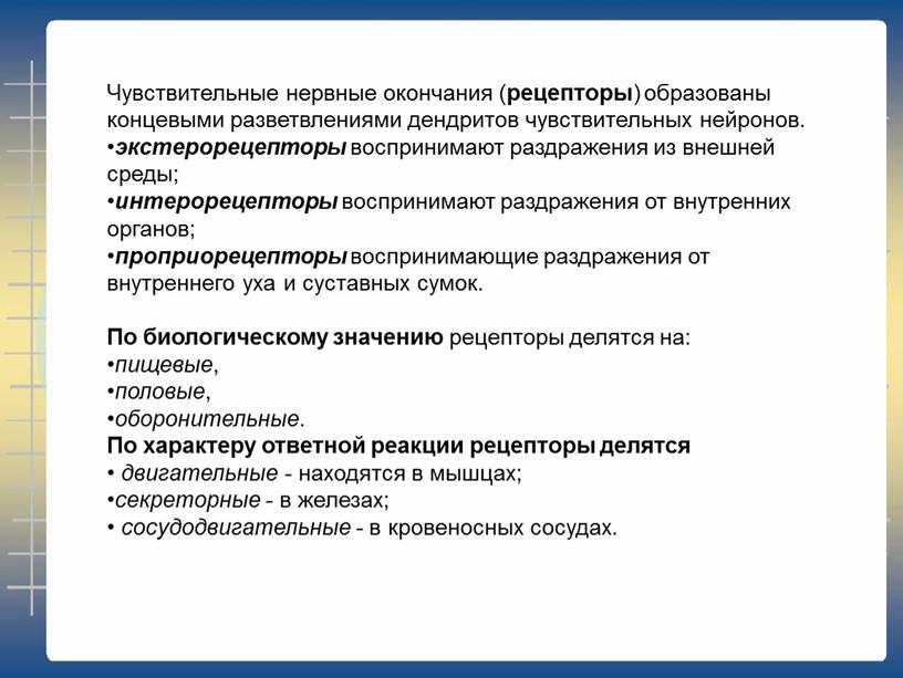 Чувствительные нервные окончания ( рецепторы ) образованы концевыми разветвлениями дендритов чувствительных нейронов