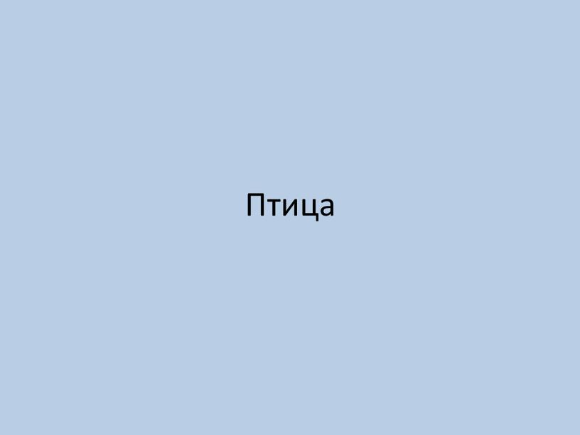 Птица