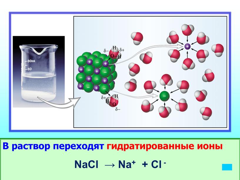 В раствор переходят гидратированные ионы