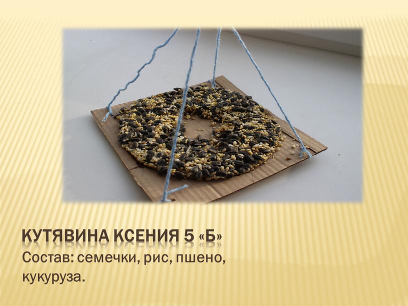 Кутявина Ксения 5 «Б» Состав: семечки, рис, пшено, кукуруза
