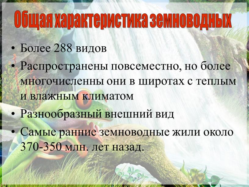 Более 288 видов Распространены повсеместно, но более многочисленны они в широтах с теплым и влажным климатом