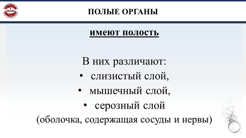 ПОЛЫЕ ОРГАНЫ имеют полость В них различают: слизистый слой, мышечный слой, серозный слой (оболочка, содержащая сосуды и нервы)