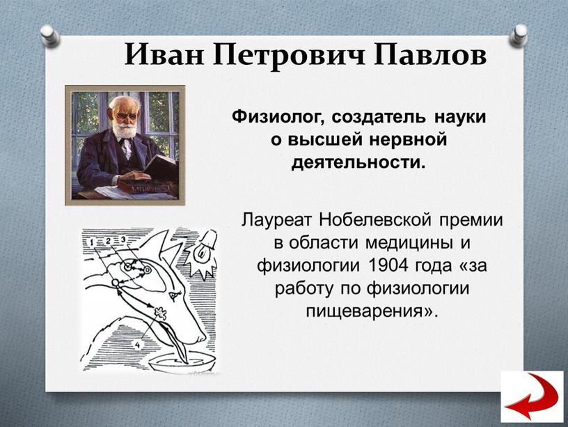 Иван Петрович Павлов Физиолог, создатель науки о высшей нервной деятельности