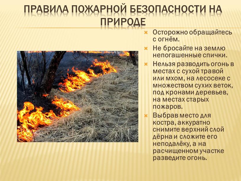 Правила пожарной безопасности на природе