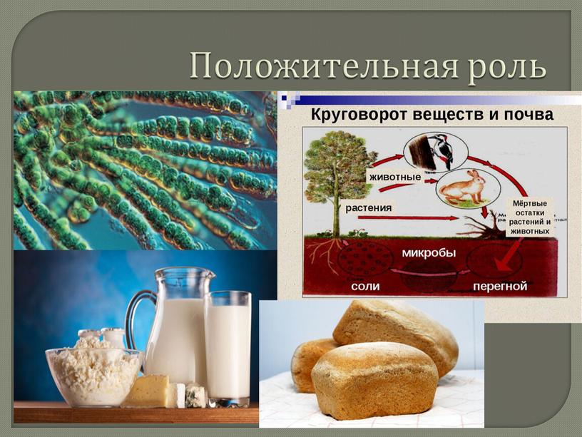 Положительная роль