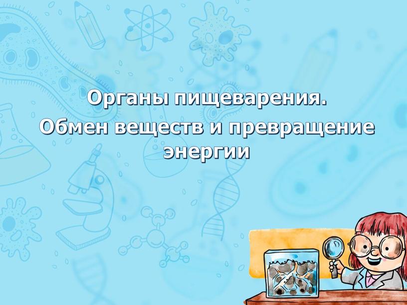 Органы пищеварения. Обмен веществ и превращение энергии