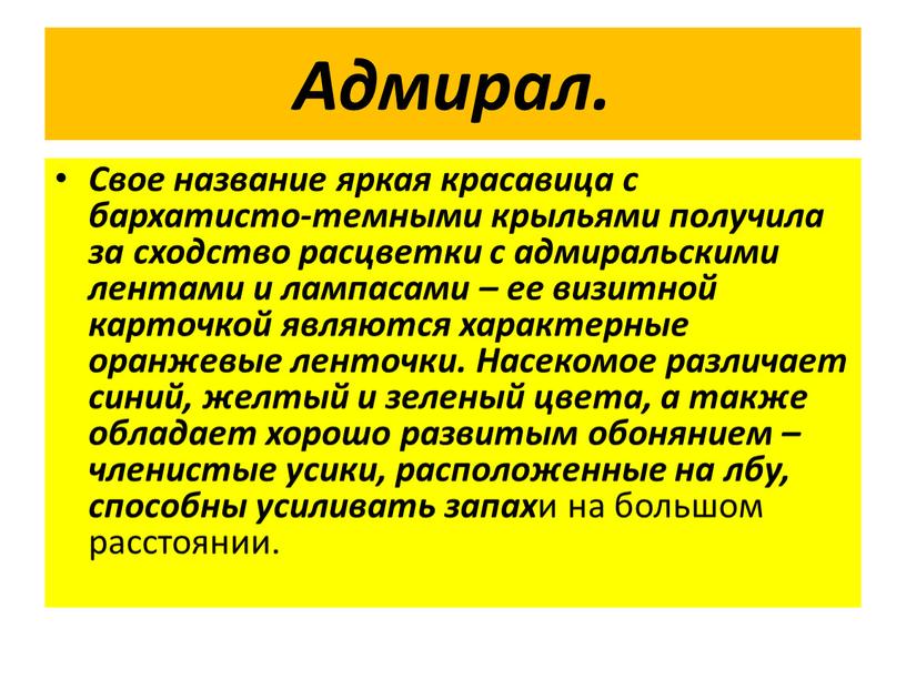 Адмирал. Свое название яркая красавица с бархатисто-темными крыльями получила за сходство расцветки с адмиральскими лентами и лампасами – ее визитной карточкой являются характерные оранжевые ленточки