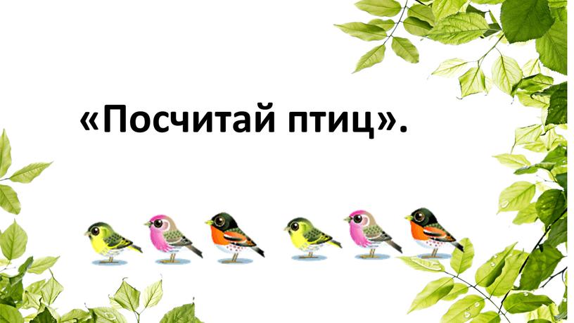 «Посчитай птиц».