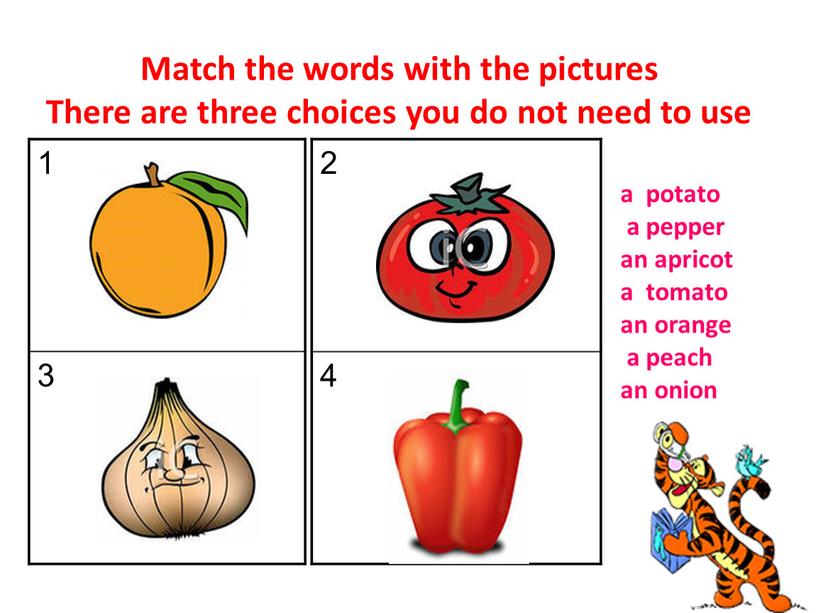 Match the words with the pictures