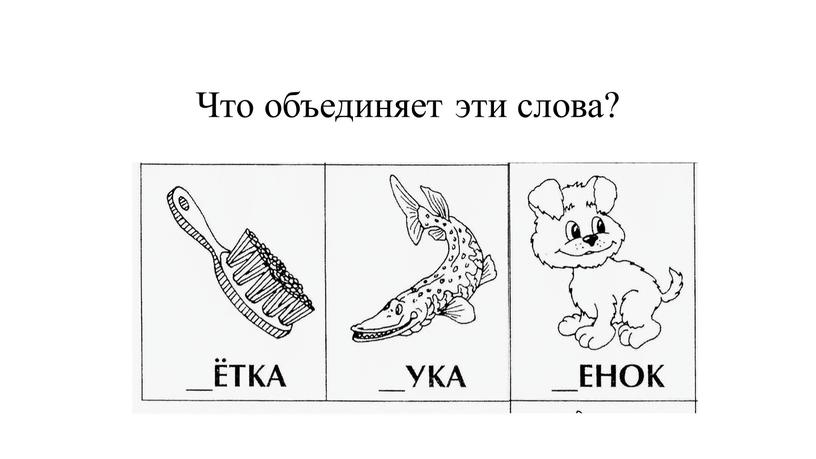 Что объединяет эти слова?