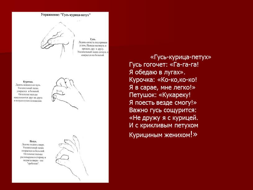 Гусь-курица-петух» Гусь гогочет: «Га-га-га!