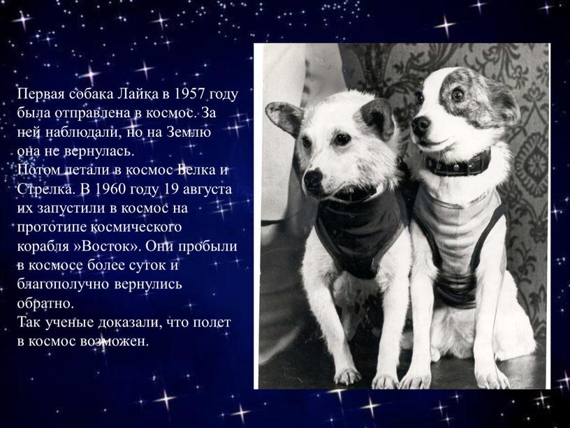 Первая собака Лайка в 1957 году была отправлена в космос