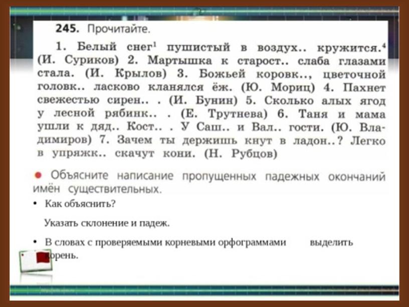 Презентация  Правописание имен существительных