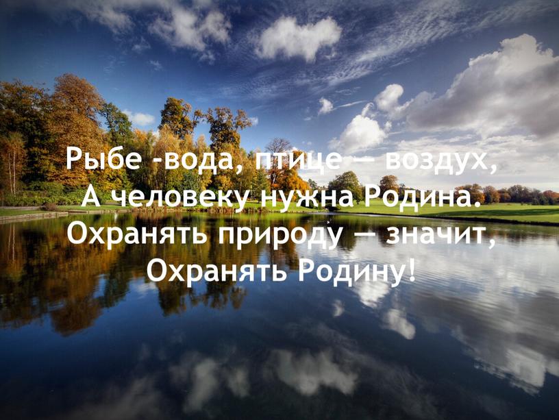 Рыбе -вода, птице — воздух, А человеку нужна