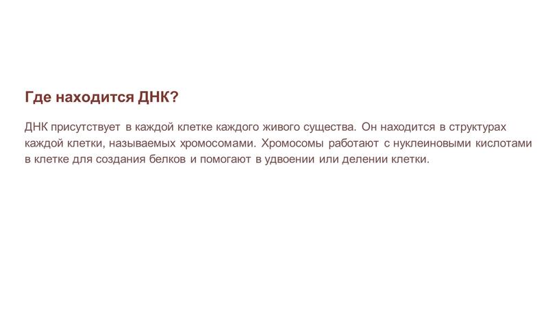 Где находится ДНК? ДНК присутствует в каждой клетке каждого живого существа