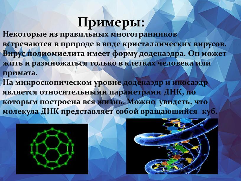 Примеры: Некоторые из правильных многогранников встречаются в природе в виде кристаллических вирусов