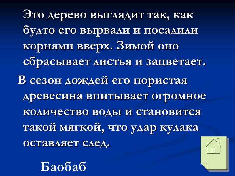 Это дерево выглядит так, как будто его вырвали и посадили корнями вверх