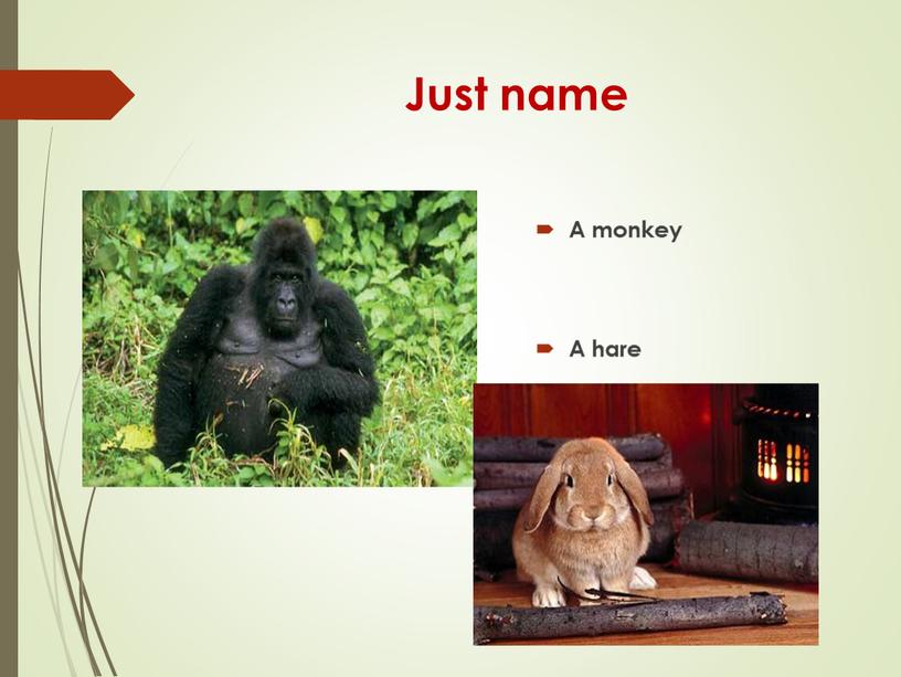 Just name A monkey A hare