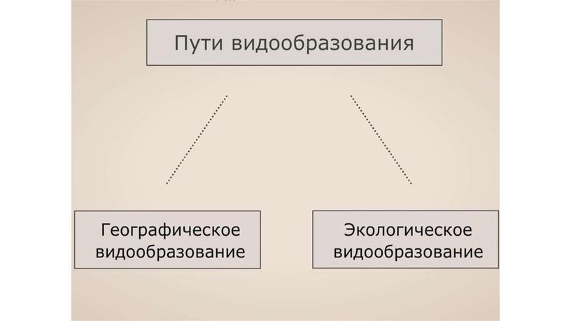 Презентация по теме: "Макро и микроэволюция"