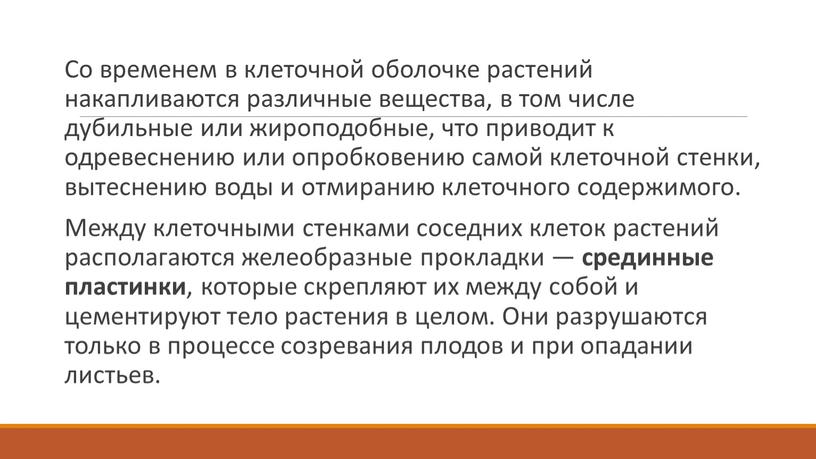 Со временем в клеточной оболочке растений накапливаются различные вещества, в том числе дубильные или жироподобные, что приводит к одревеснению или опробковению самой клеточной стенки, вытеснению…